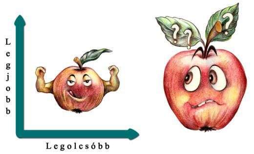 Szolgáltatás összehasonlítása - Olcsó kontra Drága költöztetés