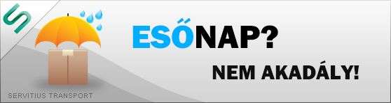 Költöztetés esőben is - Servitius Transport