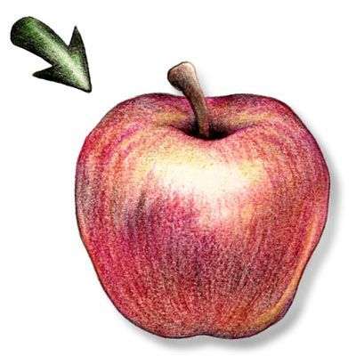 Servitius Transport - Teljes, átlátható költöztetés ár