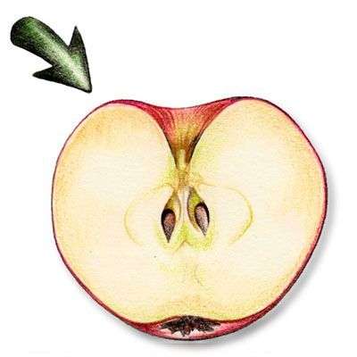 Költöztetés Budapest - A fél megoldás