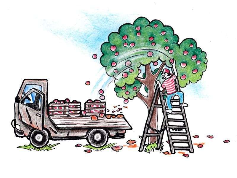 Kapkodó költöztetés - Sérült bútorok