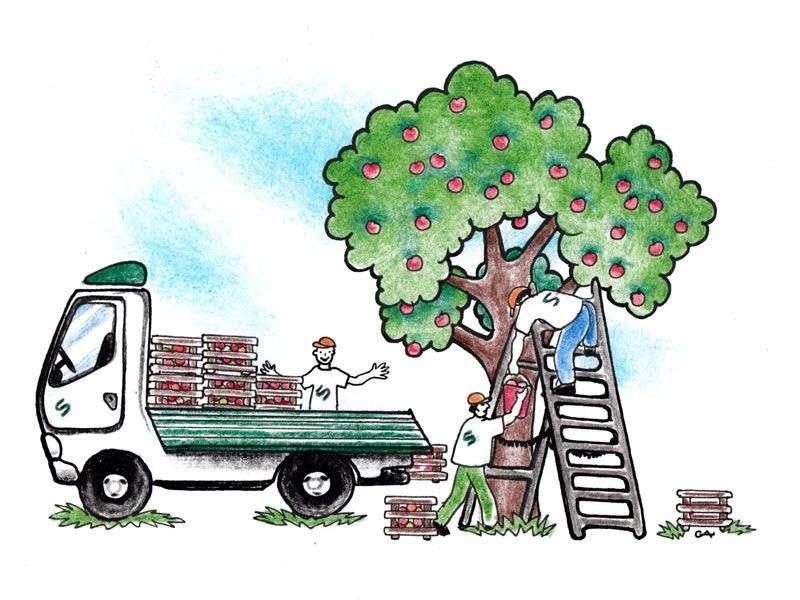 A Servitius Transport profi költöztető csapata munka közben