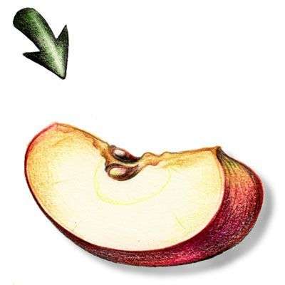 Költöztetés olcsón - A részösszeg csapdája