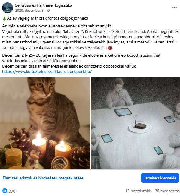 A Servitius költöztető cég megmentett cicája a telephelyen